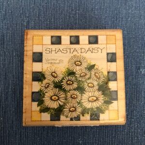 New Rubber stamp - Daisies